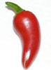 Fresno Pepper