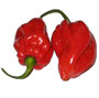Jamaican Hot Pepper - Red