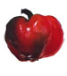 Mexi-Bell Pepper